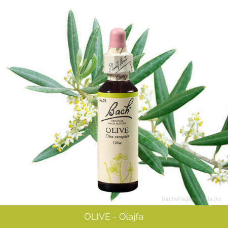 Olive - Olajfa eredeti Bach-virágeszencia