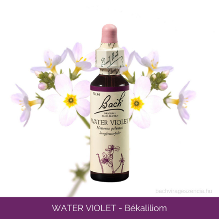 Water Violet - Békaliliom eredeti Bach-virágeszencia