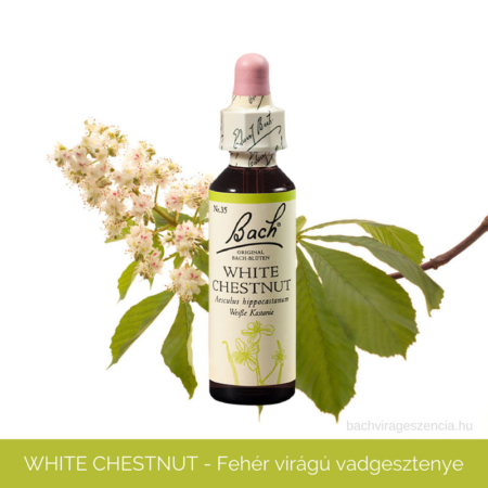 White Chestnut - Fehérvirágú vadgesztenye eredeti Bach-virágeszencia